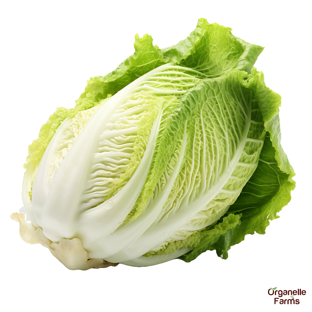 Chinese Cabbage | Organelle Farms